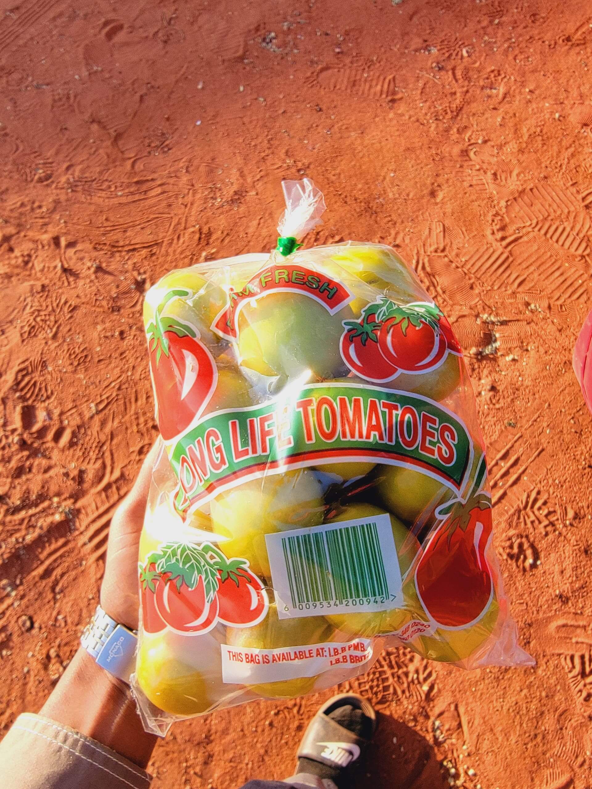 Tomatoes from Thabatshimo Farm in Botswana